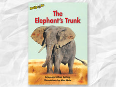 The Elephant's Trunk