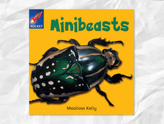 Rigby Rocket Set A (Value Pack) Pink to Yellow, 15 titles