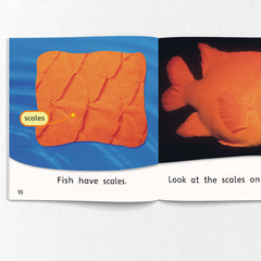 Rigby Rocket Set A (Value Pack) Pink to Yellow, 15 titles