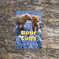 Bear Cubs by Tandi Jackson, Sunshine Non-fiction
