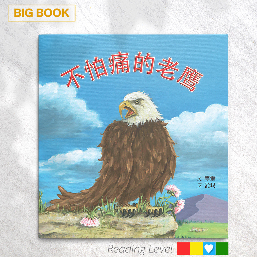 不怕痛的老鹰 (Big Book) EYBB15