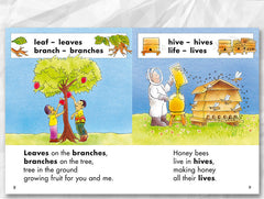 Sunshine Stories (Value Pack) Clearance Set, 13 titles