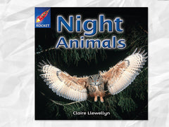 Cover of Night Animals (Rigby Rocket)